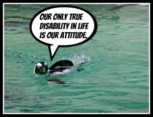 attitude pin