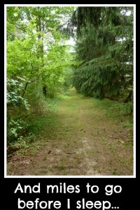 Miles to go before I sleep, healthy spirituality.org