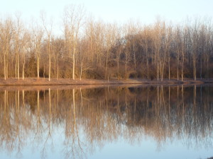 serenity. healthy spirituality.org