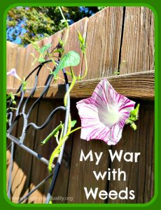 weeds - healthyspirituality.org