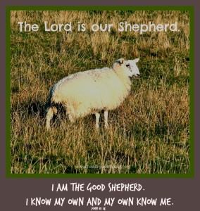 healthyspiritualtiy.org