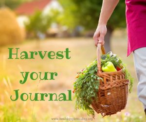 Harvesting a spiritual journal