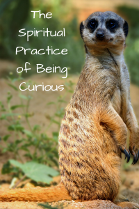 Being curious