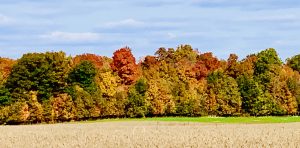 seasonal rhythms