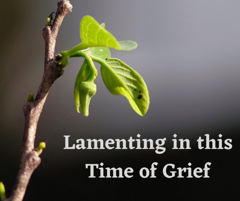 lamenting-in-this-time-of-grief-healthy-spirituality