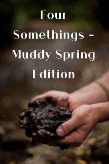 mud