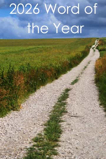 word of the year