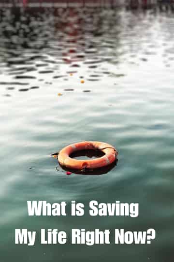 spring saving my life