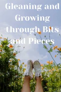 bits and pieces
