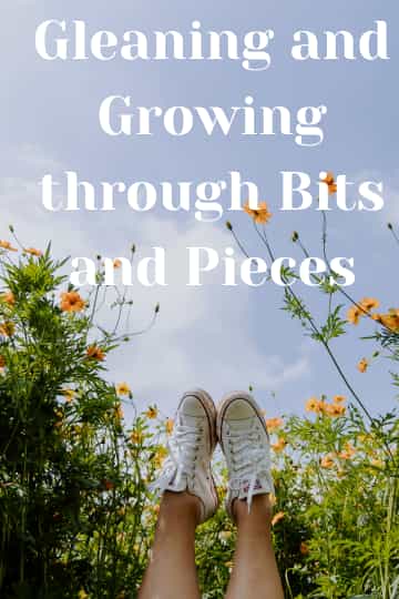 bits and pieces